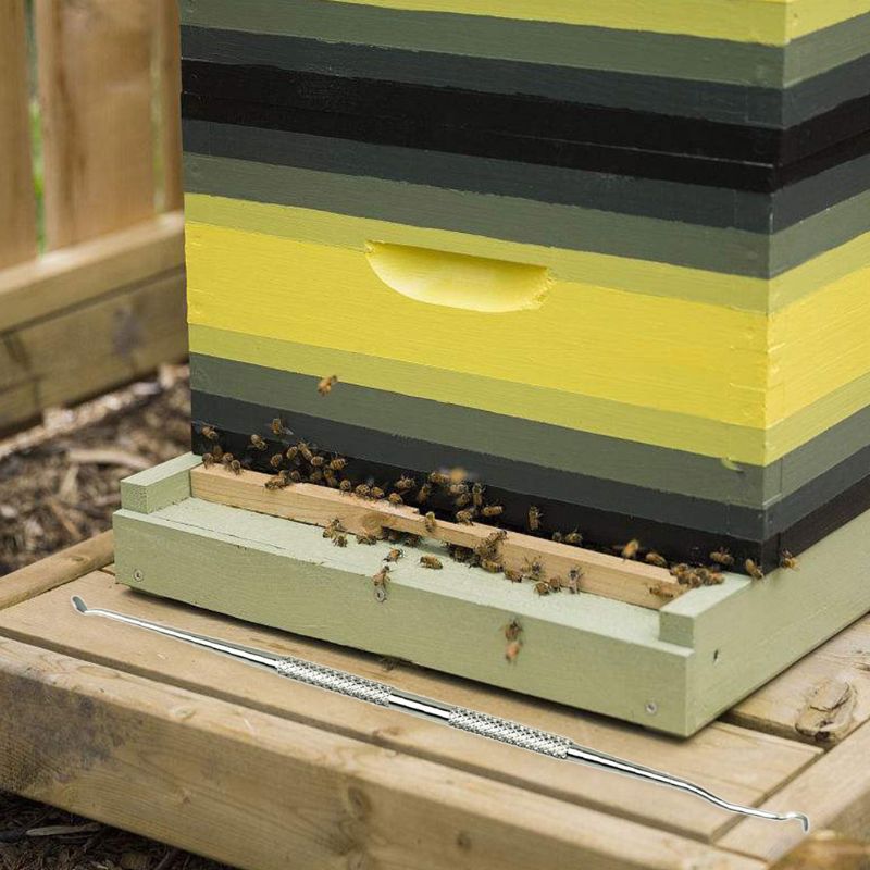 Bijenteelt Gereedschap Rvs Overbrengen Naald Worm Bewegende Bee Enten