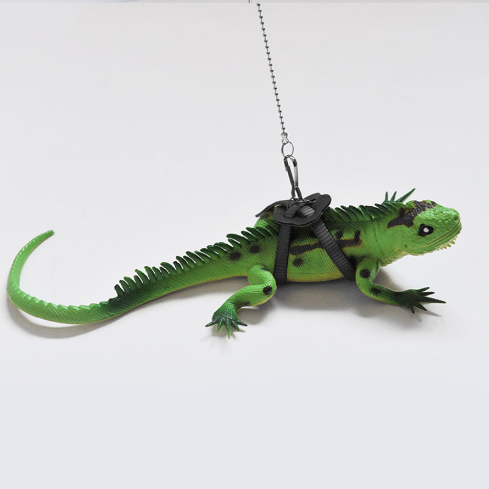 Skægget drage krybdyr firben gecko critters justerbar sele snor holde reb