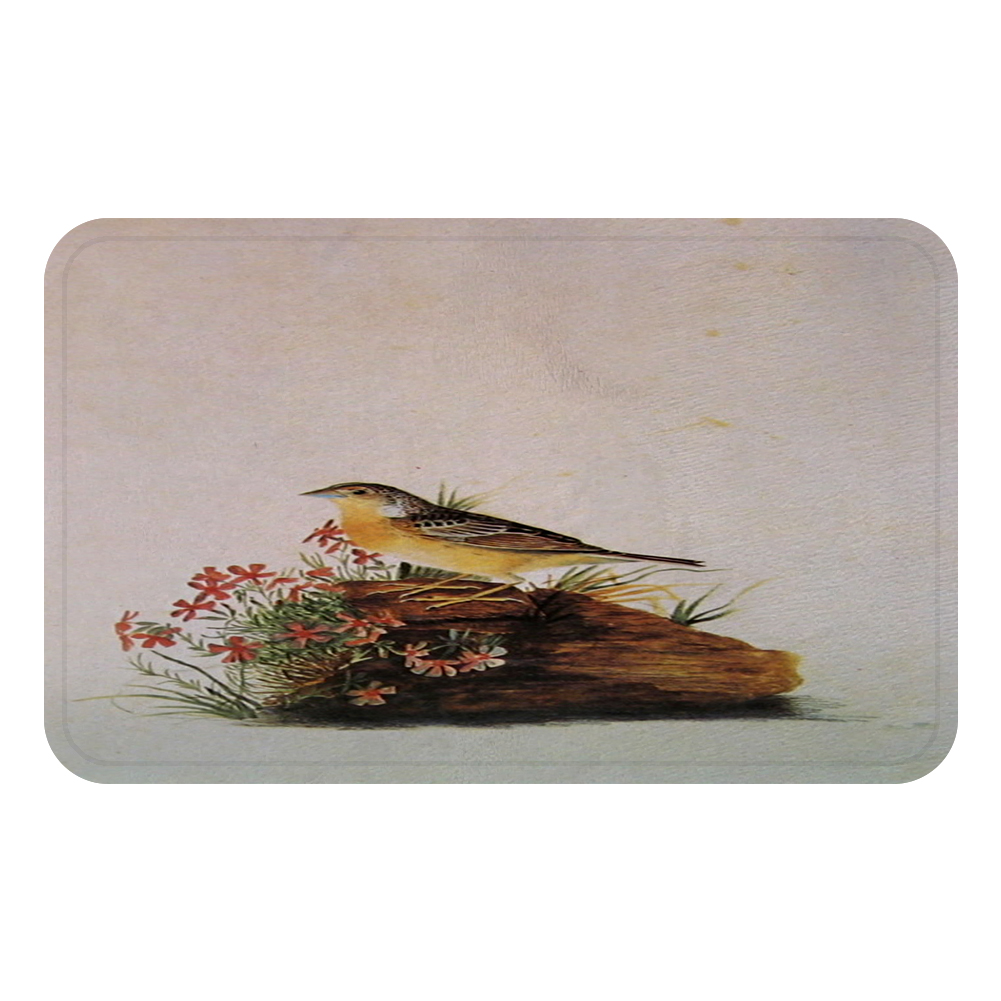 Aigle oiseaux Cool tapis tapis de bain décoratif anti-dérapant tapis chambre voiture sol Bar tapis porte décor à la maison