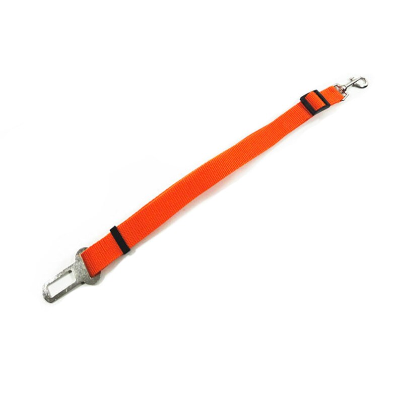 Huisdier Aangelijnd Kat Halsband Trekkabel Autogordel Intrekbare Nylon Materiaal Sterke Slijtvaste Huisdier Accessoires: O