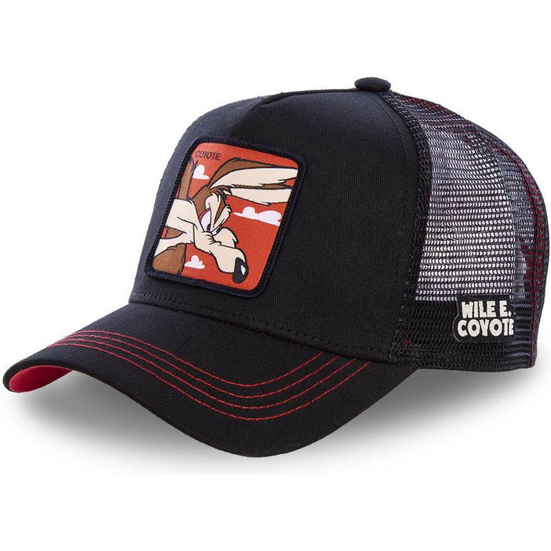 DAFFY COYOTE-gorra de béisbol con de conejo para hombre y mujer, gorro de béisbol con estampado de dibujos animados, Snapback TAZ ROAD, triangulación de envíos