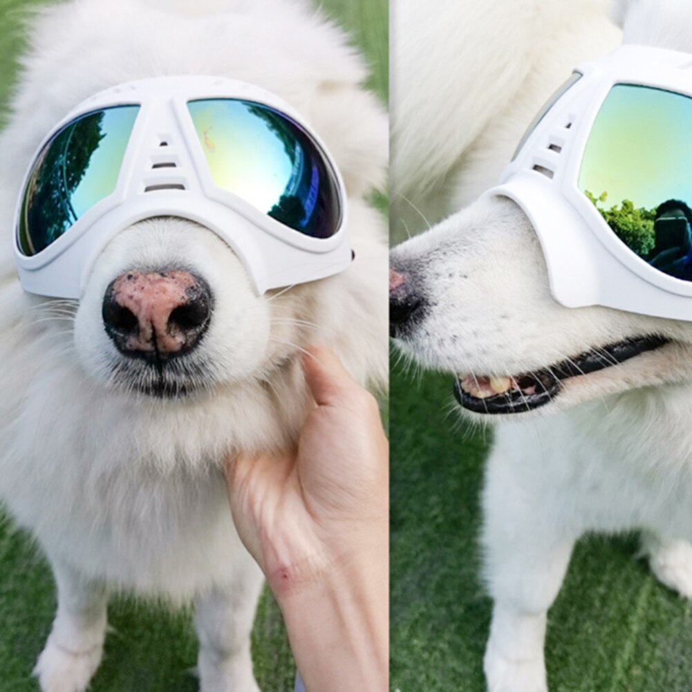 Gafas plegables para perros y mascotas, lentes para mascotas, resistentes al agua, a prueba de nieve, Marco suave, gafas de protección UV para perros