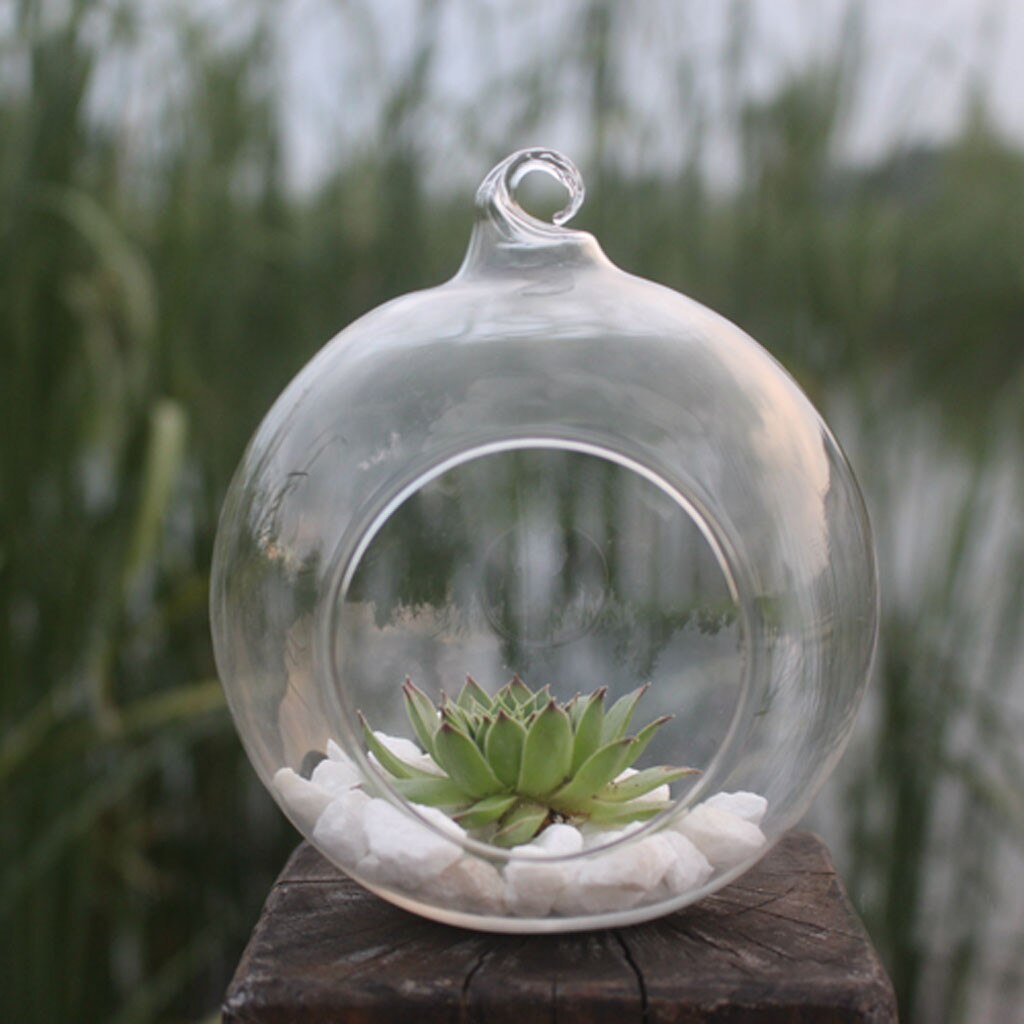 25 vaser blomst hengende vase glass planter plante terrarium beholder hjem bryllup dekorasjoner blomst hengende vase