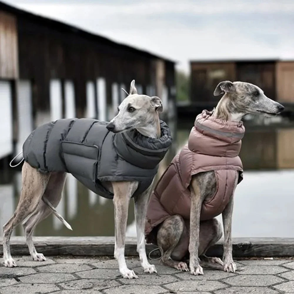 Haustier Hund Winter Warme Mantel Kleidung Daunenjacke Wasserdichte Fleece Weste Verdicken Mantel Kleidung für Hunde Welpen Katzen Haustier kostüm