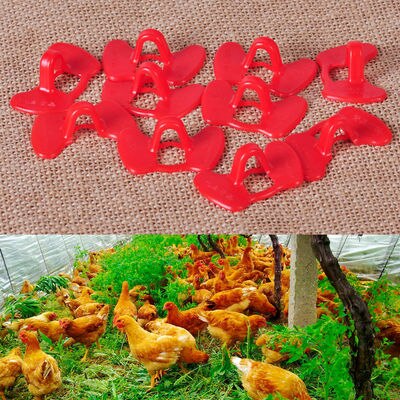 1-100pcs Plastic Chicken Glasses Chicken Foot Ring Chicken Pigeon Pheasant Anti-pecking Glasses Poultry Supplies: B  25pcs