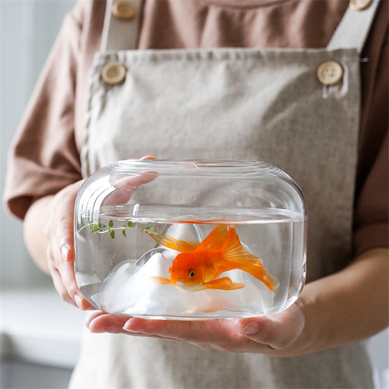 Sne bjerg gennemsigtig glas fisketank mini fiske skål til guld fisk rumle fisk hjem indretning til stuen valentinsdag