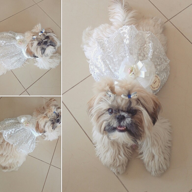 Vestido de boda de lujo para perros y gatos, falda para cachorros, tutú para mascotas, suministros para disfraces de novia, varias princesas, XS a 4XL