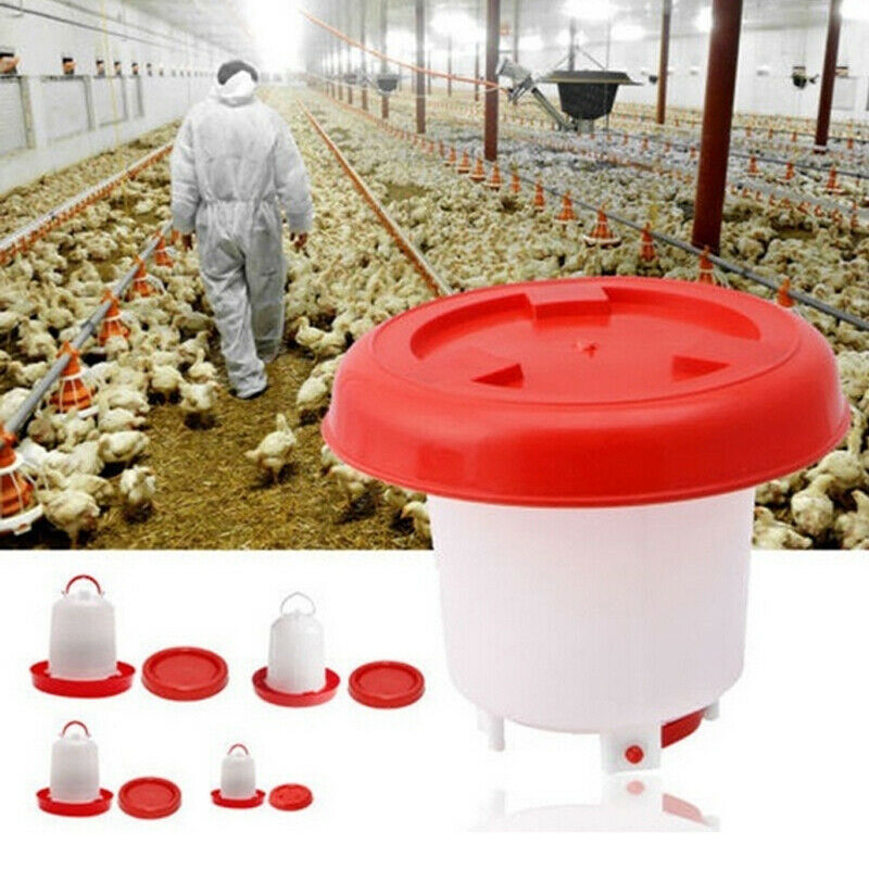 1 Pcs Chicken Drinking Cup Automatic Drinker Chicken Feeder Plastic Poultry Water Drinking Cups Easy Chicken Drinker 1.5/2.5/4L