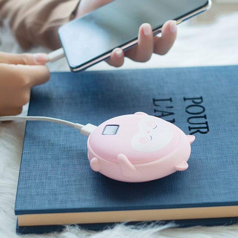 Rechargeable Hand Warmers 10000mAh, Portable USB Electric Hand Warmer Reusable P R9JC