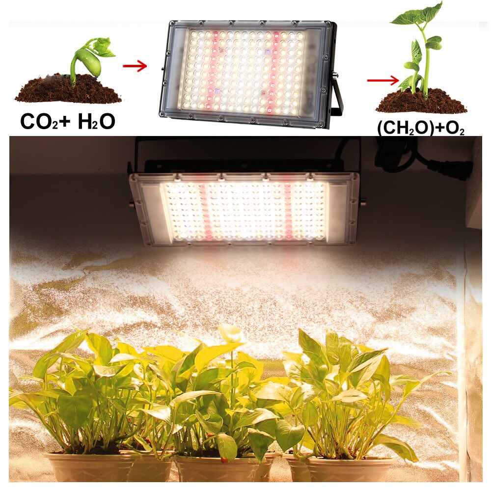 Full Spectrum LED Grow Light 300W Quantum Grade UV Light Waterproof With Switch For Greenhouse Hydroponic Plant Growth Lighting