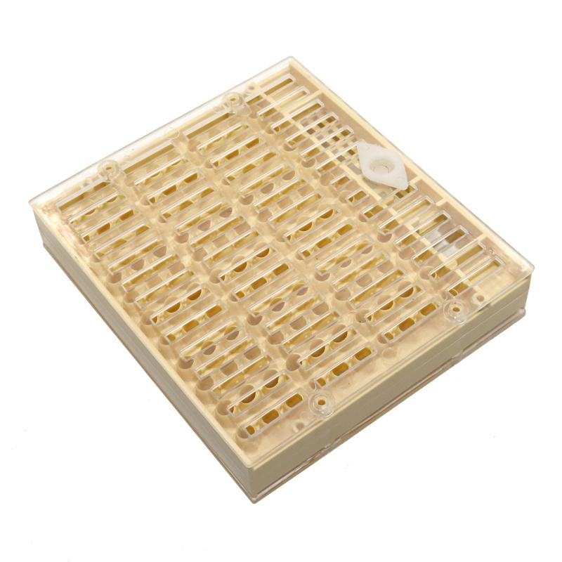 1 Pcs Nicot Queen Bee Grootbrengen Systeem Voor Bijenteelt Plastic Nicot Kooi Gereedschappen: Default Title