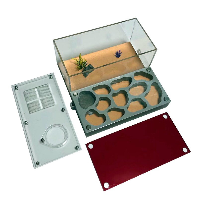3D Acryl Ant Farm Ecological Flat Ant Nest with Feeding Area Concrete Ant House Pet Anthill Workshop Moisturizing Water Pool