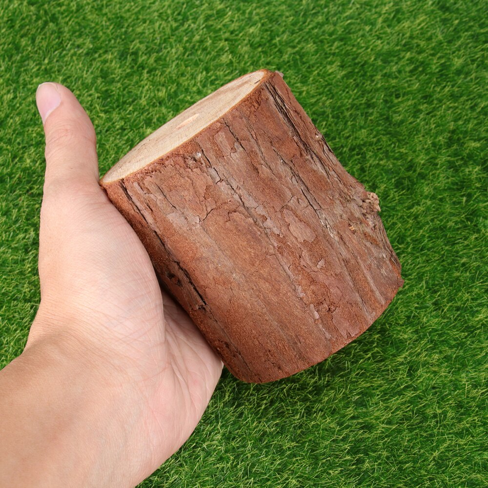 Souche en bois créative tenture murale artificielle fleur étagère salon jardin balcon rond plante support support-taille