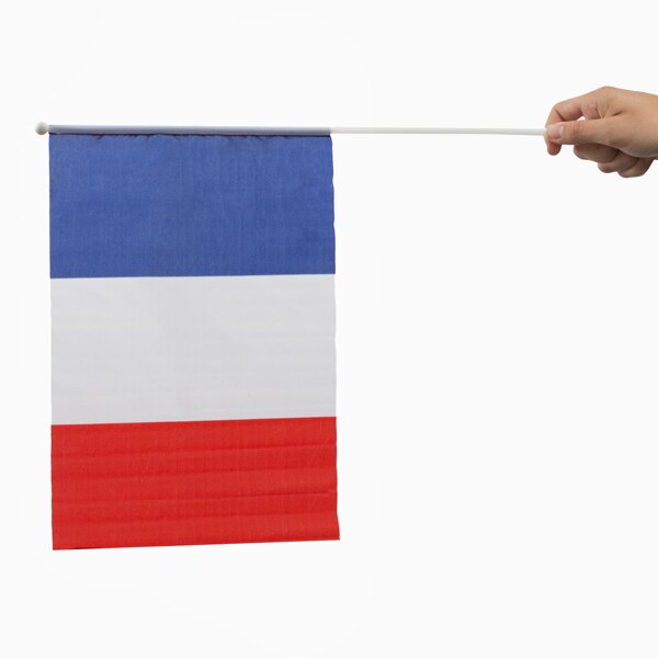 Franse Vlag met Pole (46x30 cm)