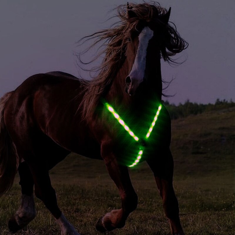 Arnés de correa para caballos, equipo de equitación seguro, ajustable, Visible por la noche, cinturón de pecho con luz LED