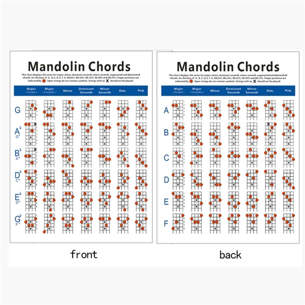 Mandolin Fretboard and Chord Chart Instructional Poster Fingering Chart Musical Stringed Instruments Accessories