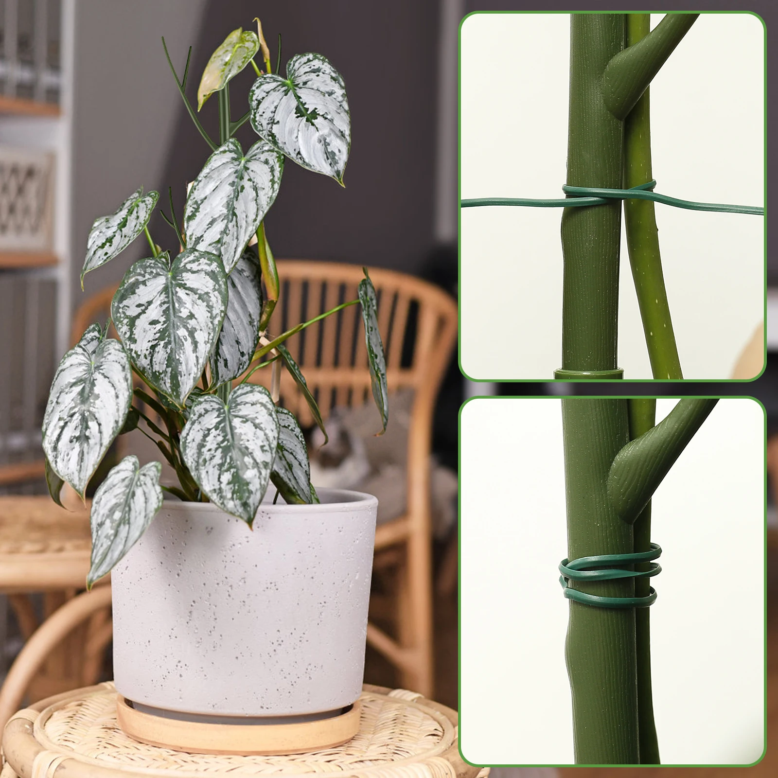 5 Stuks Plant Support Stakes Herbruikbare Gesimuleerde Boomtak Zet Wijnstok Klimbeugel Voor Potplanten Tuingereedschap