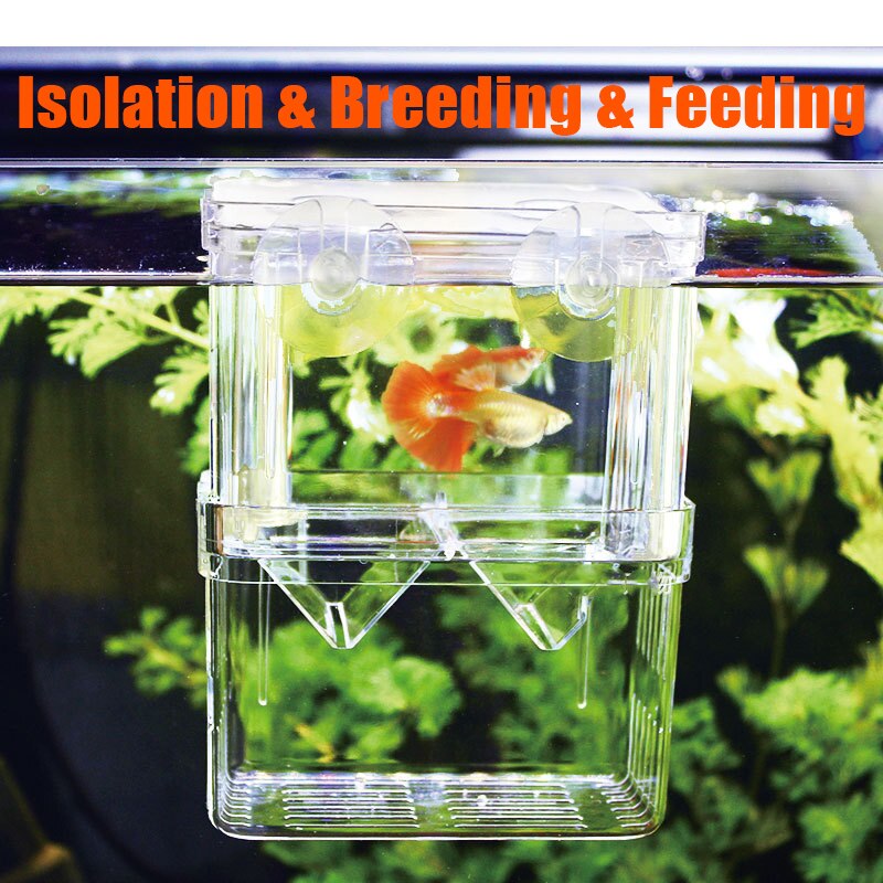 Double-layer aquarium isolation box acrylic malachite hatching box ornamental fish fighting fish breeding box
