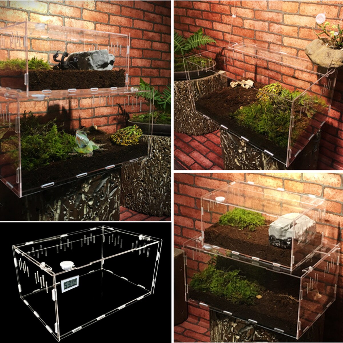 S/L Size Reptile Tank Insect Spiders Tortoise Lizard Acrylic Transparent Breeding Box Vivarium Lid Reptile Pet Product Terrarium