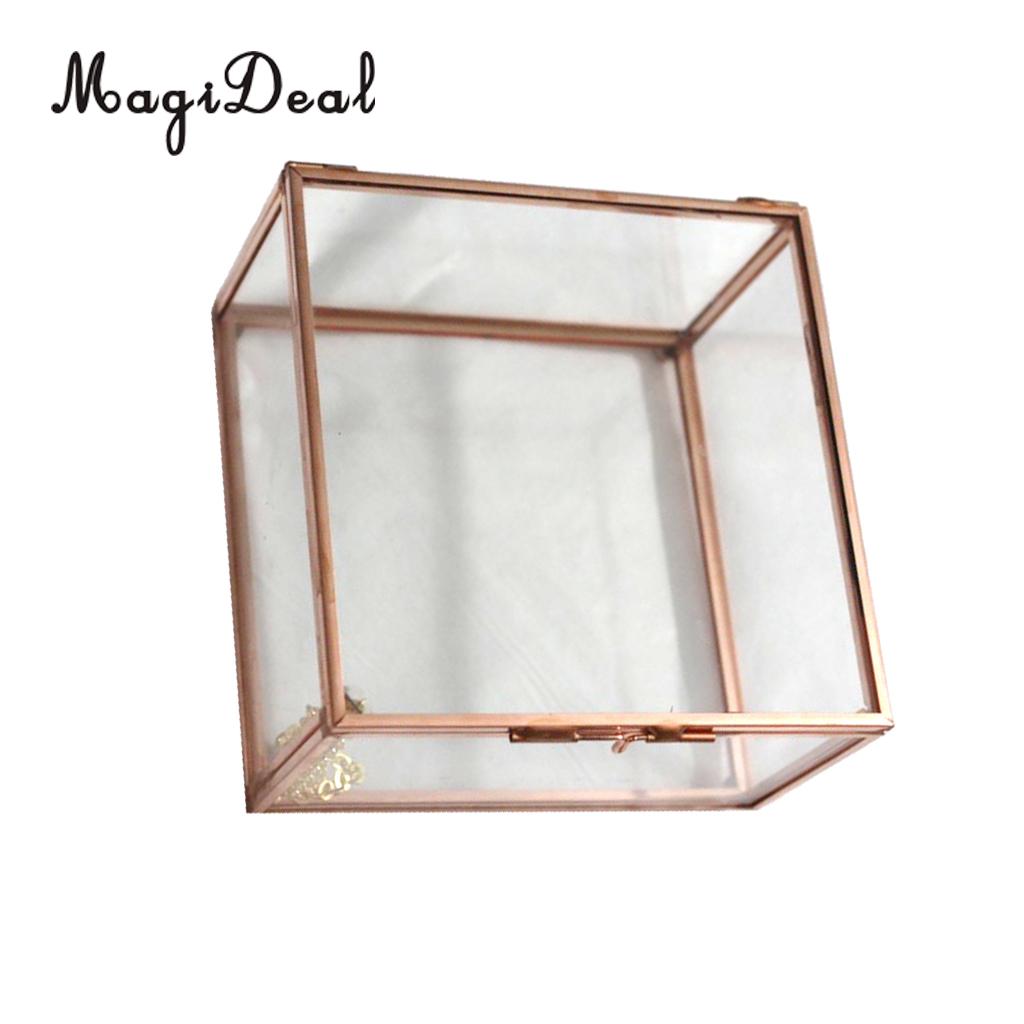 Terrariumpot Met Weinig Bos En Een Zelfecosysteem Met Kleine Decoratie Glazen Kom Terrarium Planten Terrariumplantages Image306271924