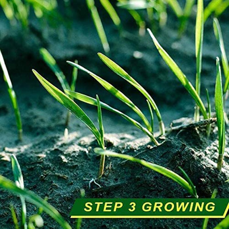 Biodegradable Grass Seed Mat 0.2m X 3m Seed Starter Mat Lawn Planting Fertilizer Paper Grass Seed Carpet Seed Starter Mat