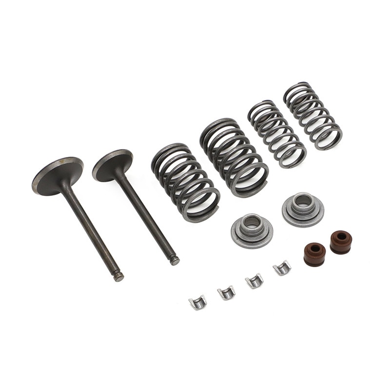 CYLINDER VALVES KIT for CHINESE SSR ROKETA COOLSTER TAOTAO TRUE 125CC ATV DIRT BIKE 125 cc Engine