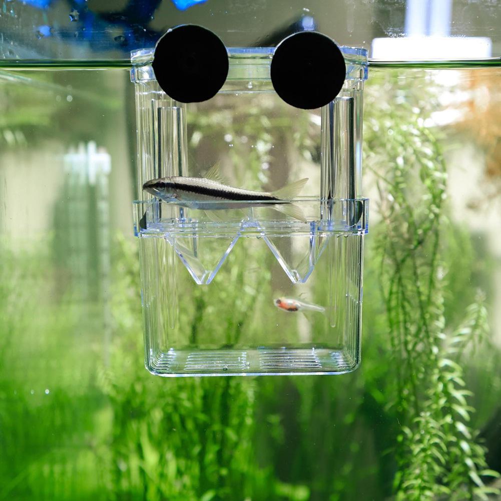 Double Layer Self Floating Incubator with Suction Cup Aquarium Hatching Fish Breeding Box