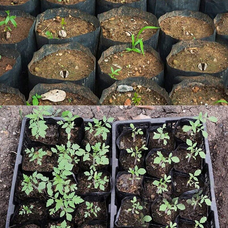 500Pcs Kwekerij Pot Plastic Plant Propagatie Container Grow Bag Tuin 8cmX8cm