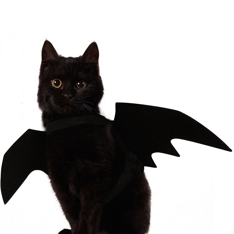 1Halloween Huisdier Vleermuis Vleugels Grappige Katten Cosplay Kostuum Kat Vleermuis Kostuum Fit Party Honden Katten Spelen Huisdier Accessoires #