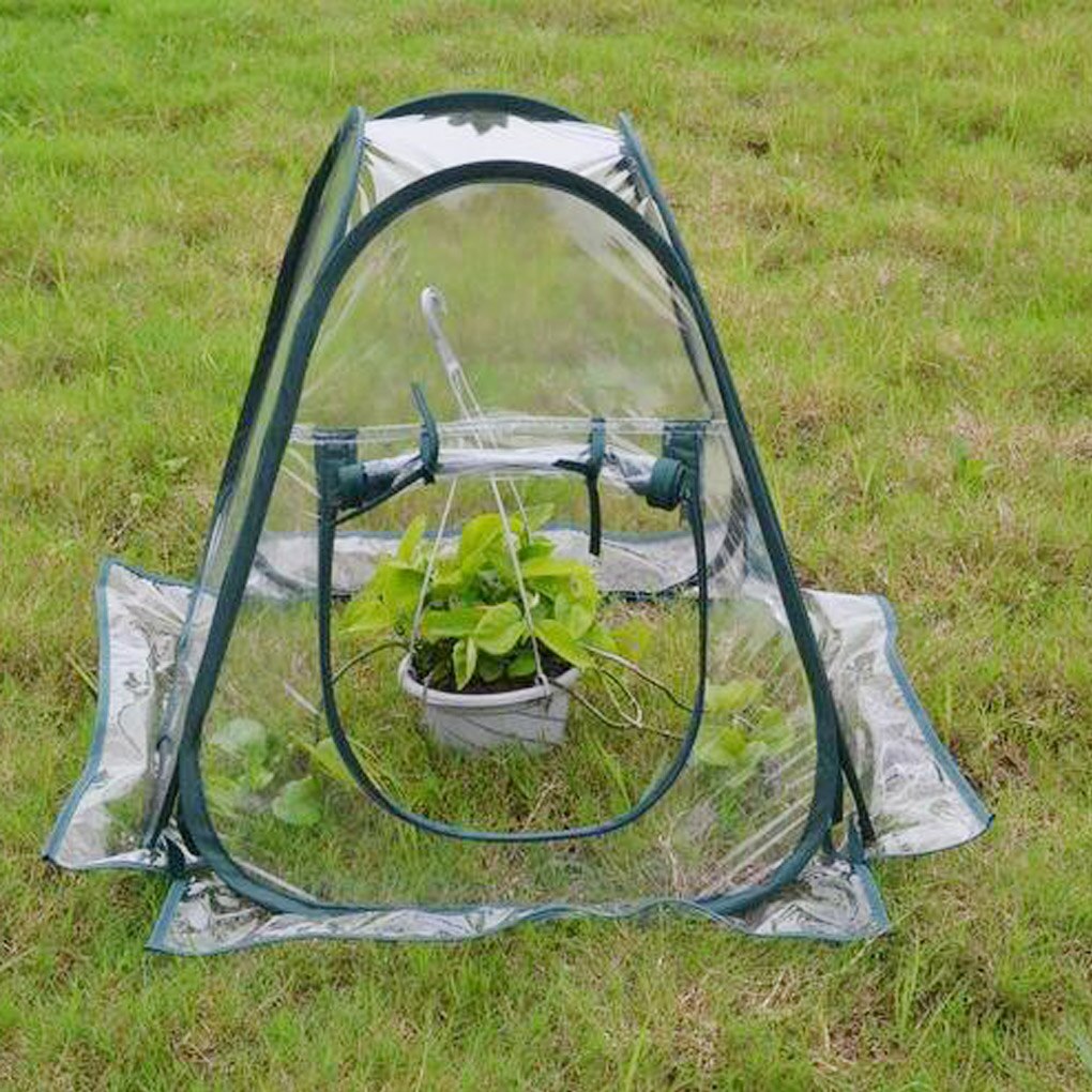Mini Greenhouse Small Indoor Outdoor Gardening Flowerpot Pop up Cover Backyard Flower Shelter