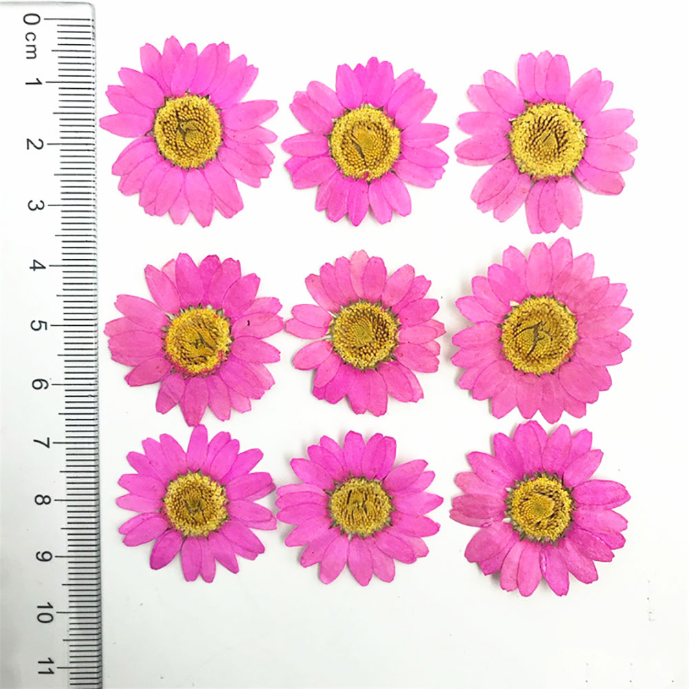 Silicone world Dried Flower Dry Plants For Epoxy Resin Pendant Necklace Jewelry Making Craft DIY Accessories UV Expoxy Flower: Brown