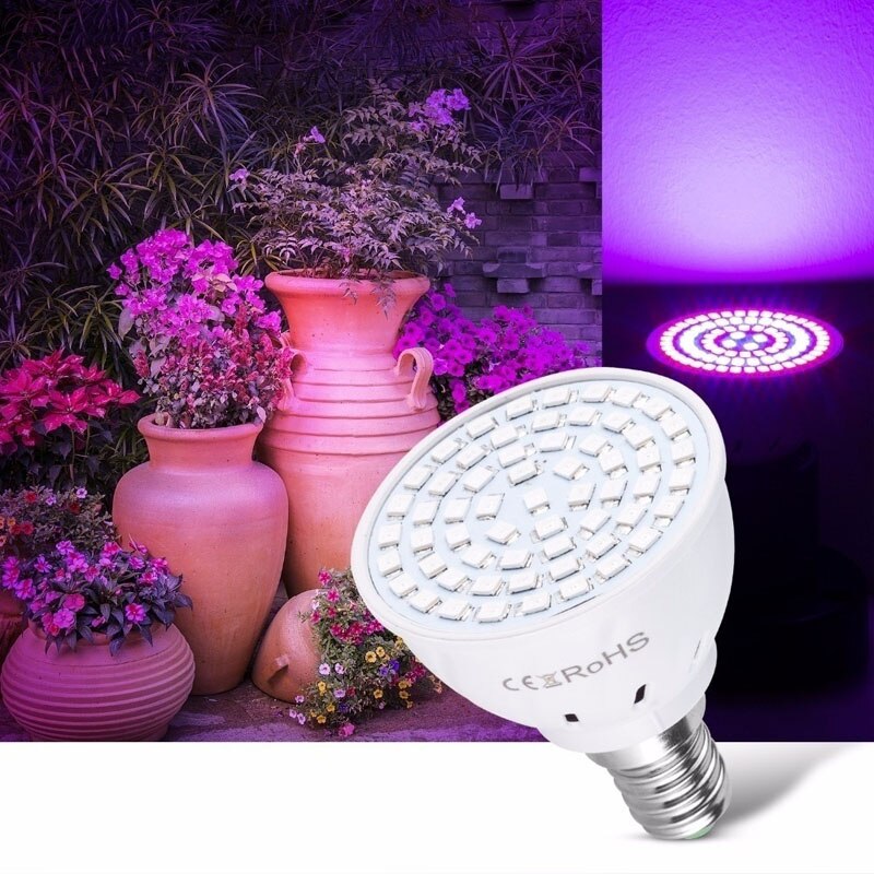 Plantevækstlys  gu10 rødt lyseblåt lys plantelys  e27 e14 36 smd planteskolegrøntsager fyld lys
