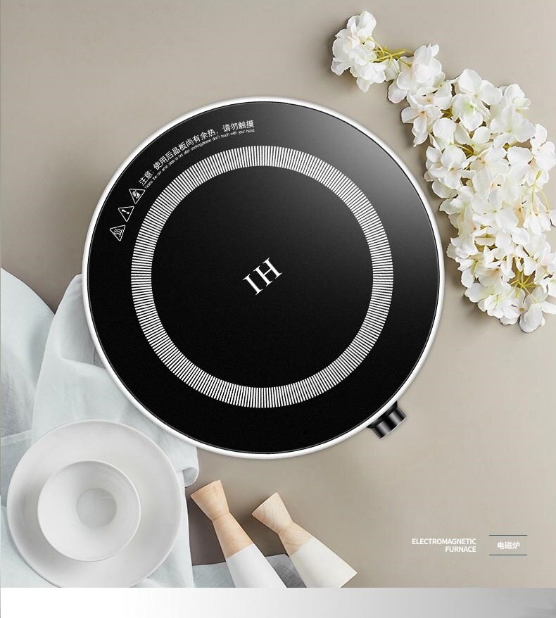 mini induction cooker: No display / CN