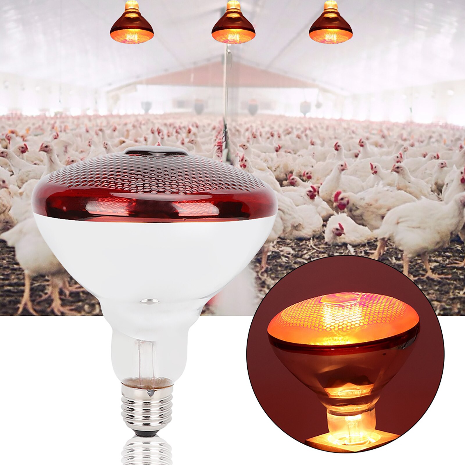 E27 konserveringsvärmelampa glödlampa infraröd strållucka glödlampa för gris kyckling djur fjäderfä 2