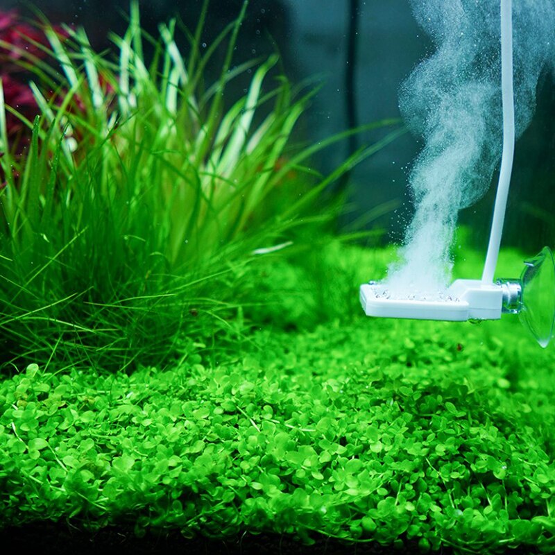 Chihiros doctor mate akvarium algerfjerner sterilisator twinstar stil elektronisk hæmme rengøringsværktøj akvarium tilbehør
