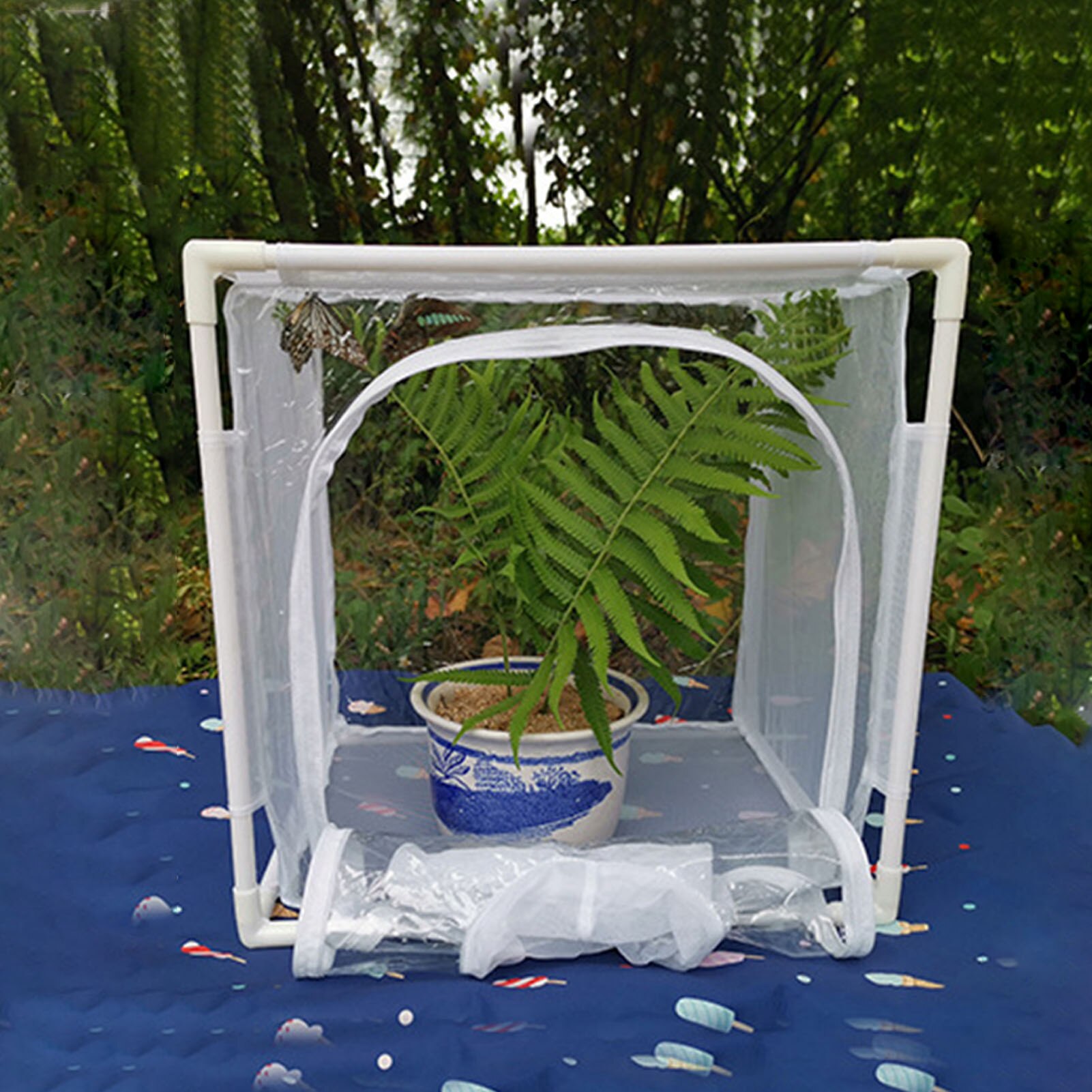 Mini Greenhouse Plant Insulation Shed Butterfly Insect Breeding Cage Indoor Outdoor Garden Greenhouse Anti-pattern Insect Cage