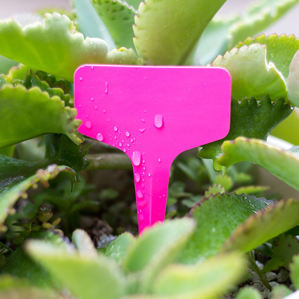 200 Uds. Etiquetas de plantas de plástico tipo T rotuladores jardín planta flor etiqueta jardín adornos jardinería etiqueta