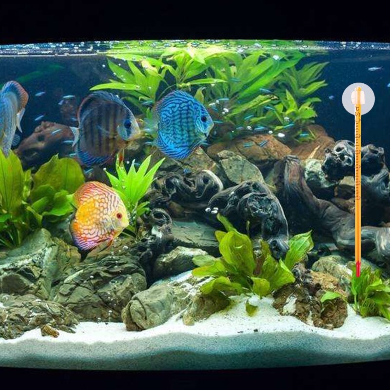 Aquarium Glass Thermometer With Sucker Fish Tank Reptile Box Accessory Supplies 77UD