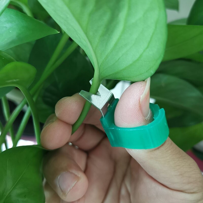 Crop Tomato Cucumber Grape Harvesting Gardening Tools Blade Cutting Scissors Fruit Picking Ring /Vegetable Picking Ring0