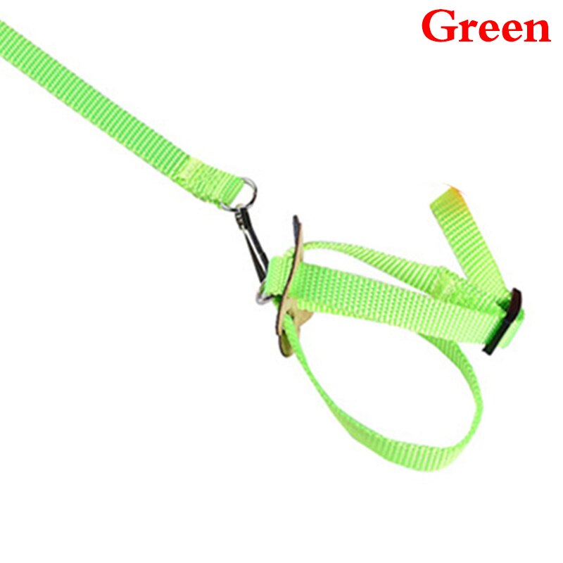 Harness And Leash For Birds Parrot Cockatiel Parakeet Conure Macaw Training Rope 5 Colors: Green