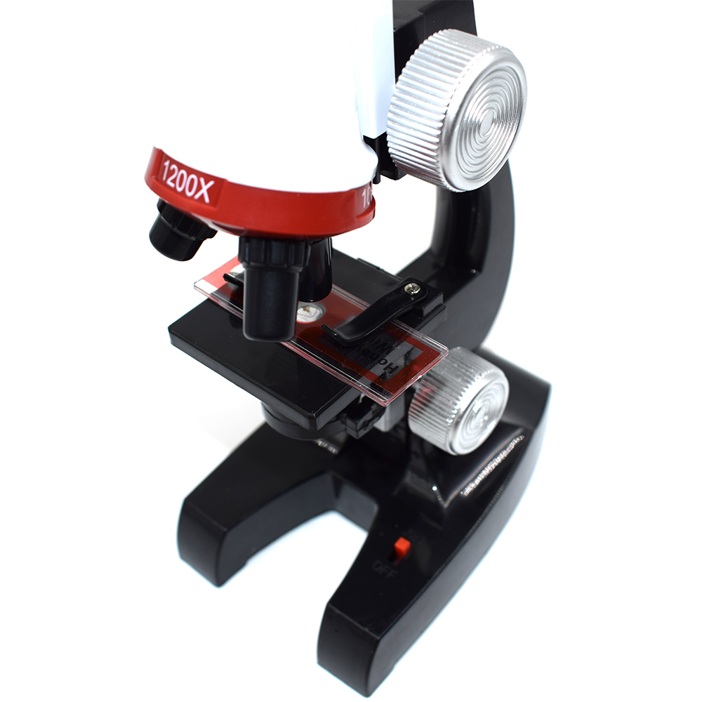 Chanseon 12pcs/set Plastic Microscope Slides Biological Specimen with for Children Student Microscope Enlighten Education