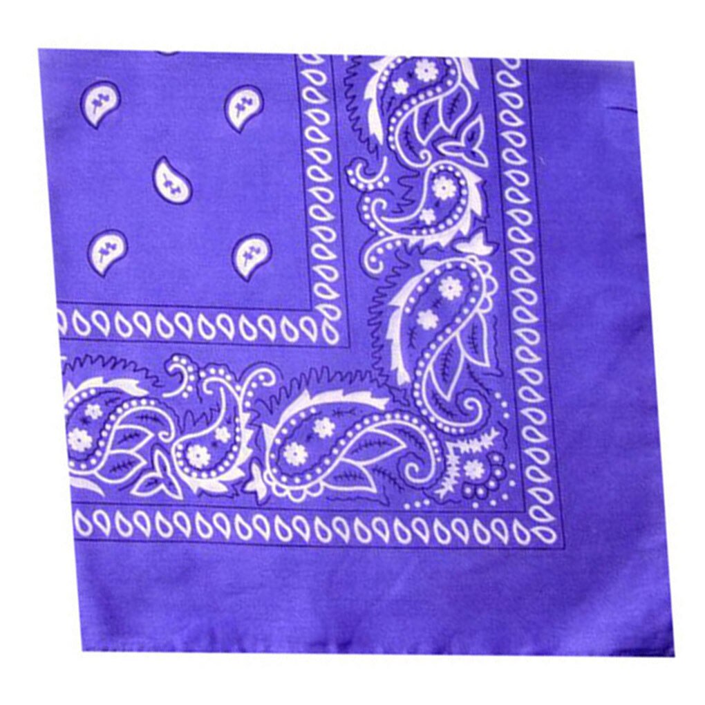 Hip Hop hommes femmes Bandana chapeau de sport Paisley Bandana poignet bandeau Double face foulard foulard chapeaux: Purple