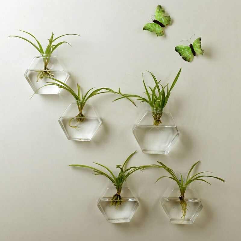 Sekskantet væghængende glas plante blomstervase hydroponisk akvarium boligdekoration sender sømløs nal