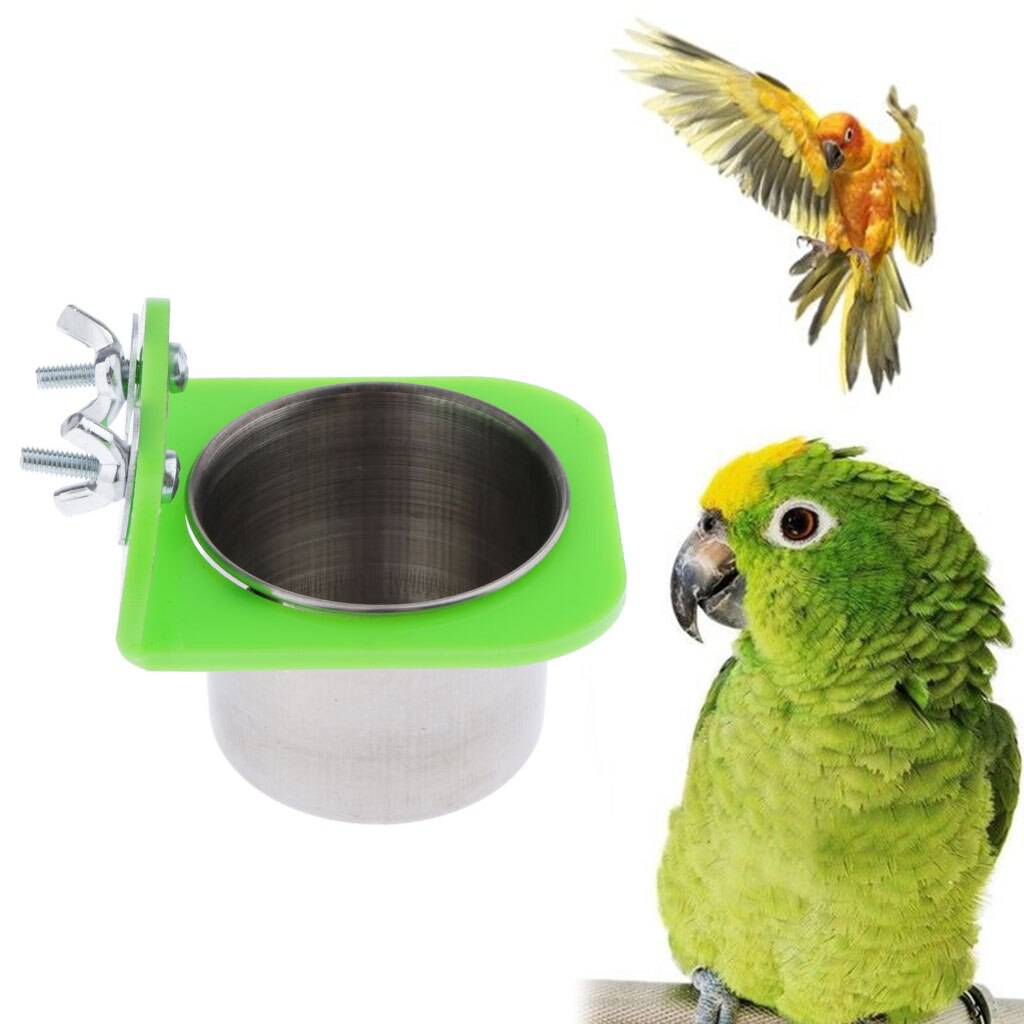 Kæledyr fugl papegøje vand foder foder foder kop til små til store fugle