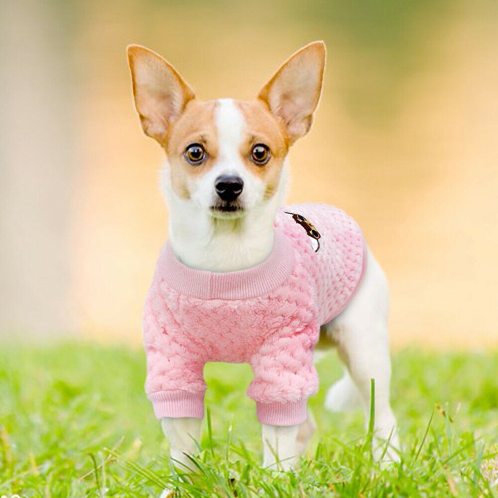 Chien ImpermÃ©able Chihuahua Manteau Chihuahua ImpermÃ©able Pour