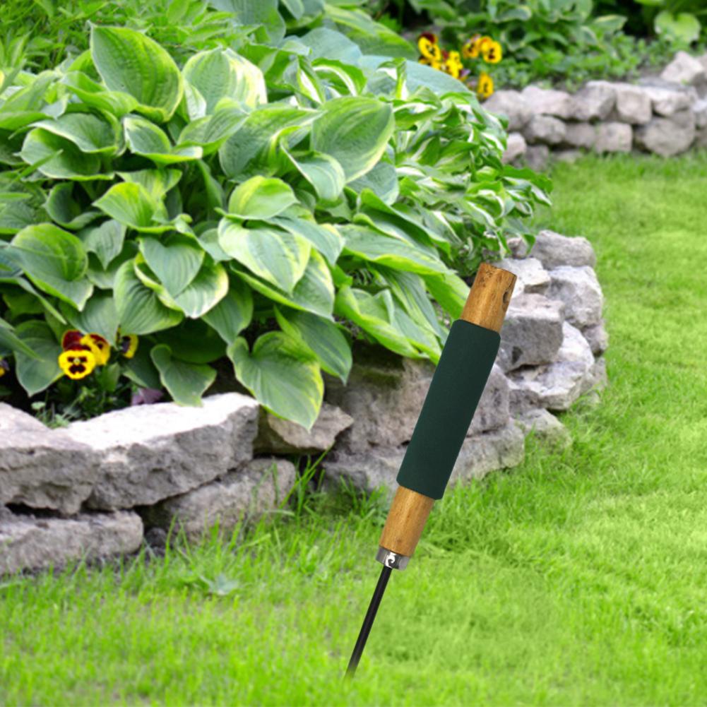 Daisy Grubber Tuin Gazon Wieder Rvs Mini Tuin Wieden Tool Voor Outdoor Gazon Yard