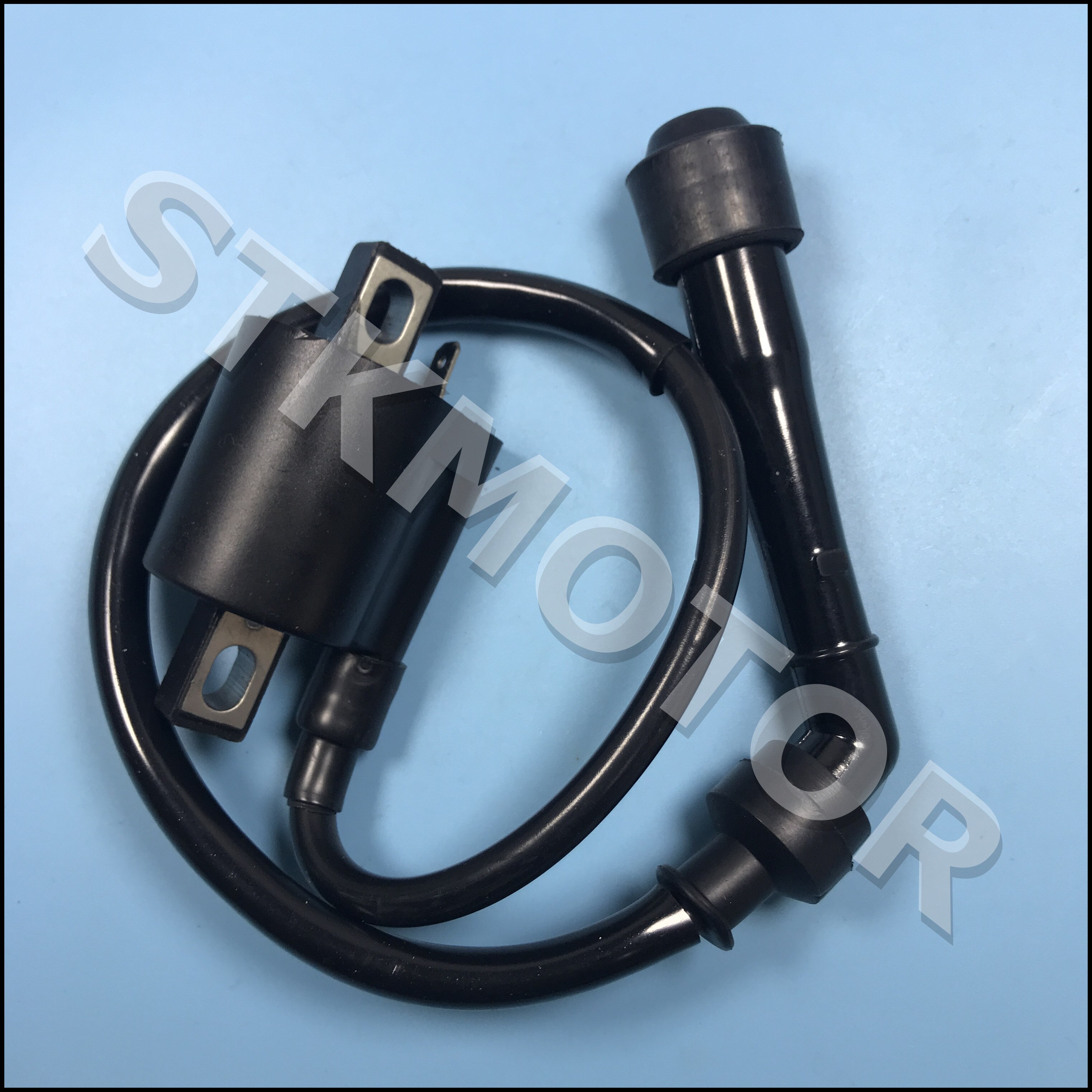 Bobine D'allumage Et Bougie Pour Yamaha Raptor 660 (2001-2005) - Compatible Grizzly, Rhino - MOTO1988