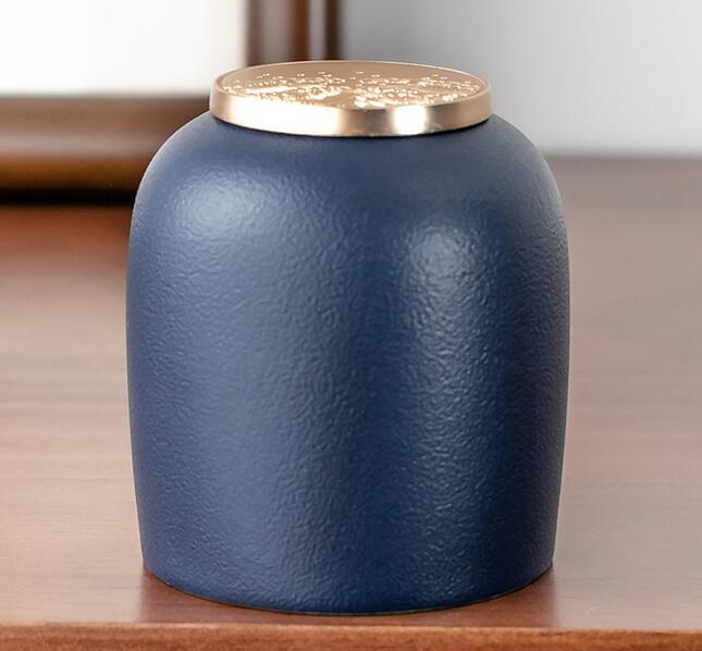 Rough Pottery Portable Tea Pot Kiln Change Sealed Pot Mini Tea Warehouse Household Storage Pot Tea Caddy Travel Tea Jar ZB63: color1
