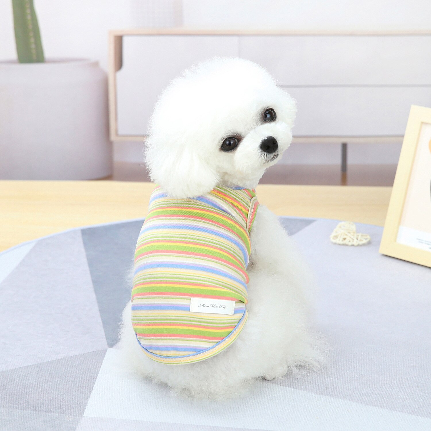 Colorful Dog Vest Cute Chihuahua Clothing for Small Dogs Breathable Summer Puppy T-Shirt Bulldog Ropa Perro S-XXL: Yellow / XXL