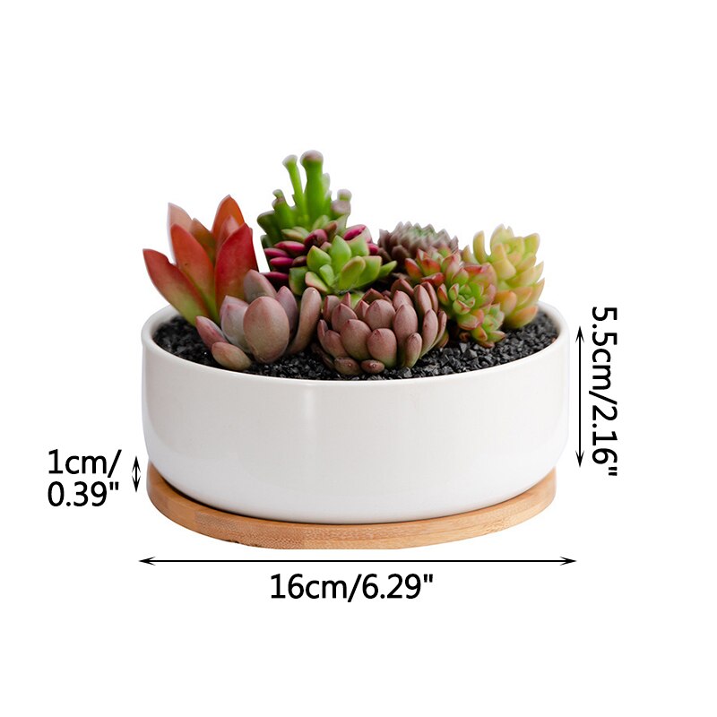 Succulents White Porcelain Flower Pots Round Rectangular Home Garden Refreshing Ceramic Pots Balcony Green Planting: B